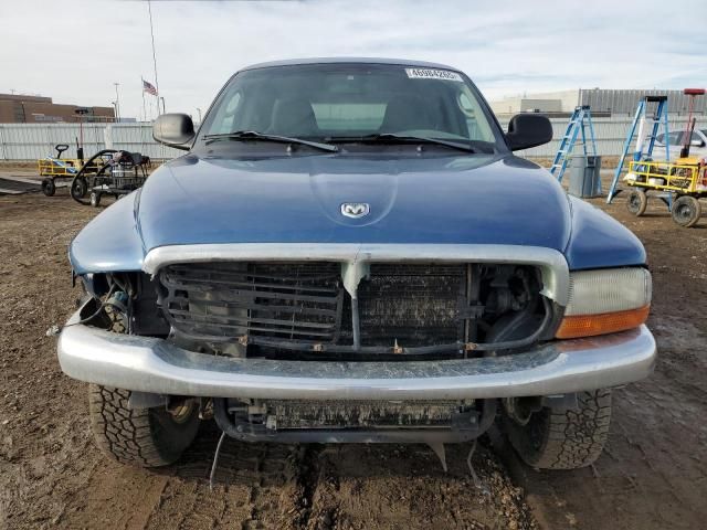 2004 Dodge Dakota SLT