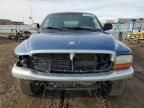 2004 Dodge Dakota SLT