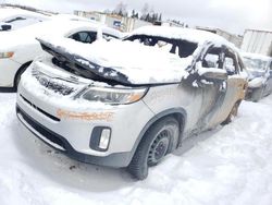 KIA Vehiculos salvage en venta: 2014 KIA Sorento LX