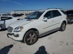 2010 Mercedes-Benz ML 350