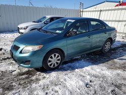 Toyota Corolla salvage cars for sale: 2009 Toyota Corolla Base