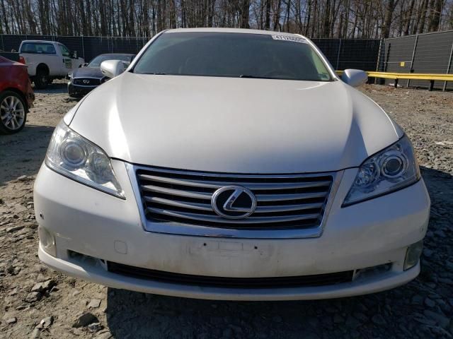 2010 Lexus ES 350