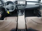 2024 Lexus ES 300H Base