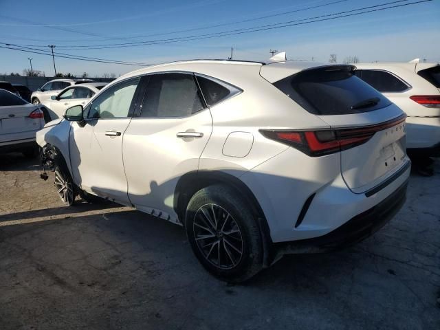 2024 Lexus NX 350H Base