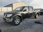 2009 Nissan Frontier Crew Cab SE