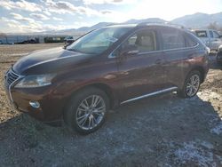 Salvage cars for sale at Magna, UT auction: 2014 Lexus RX 350 Base