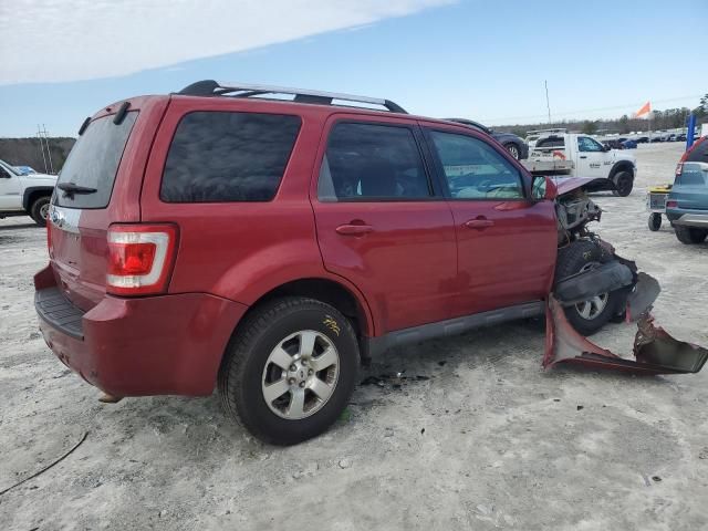 2009 Ford Escape Limited