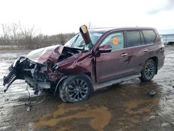 Carros salvage a la venta en subasta: 2021 Lexus GX 460 Premium