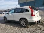 2010 Honda CR-V EXL