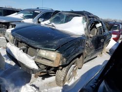 Salvage cars for sale at Wichita, KS auction: 2002 Chevrolet Trailblazer