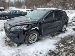 Salvage cars for sale at Marlboro, NY auction: 2022 Ford Escape SE