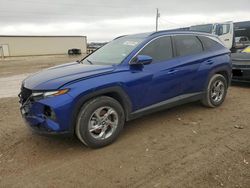 Salvage cars for sale at Temple, TX auction: 2024 Hyundai Tucson SEL