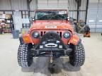 2006 Jeep Wrangler / TJ Rubicon