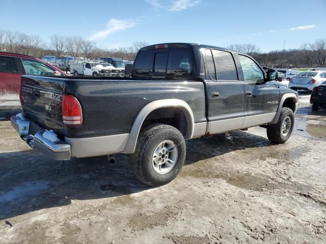 2000 Dodge Dakota Quattro