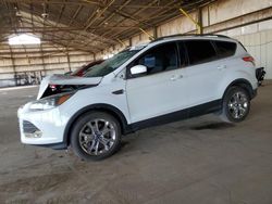 Salvage cars for sale at Phoenix, AZ auction: 2014 Ford Escape SE