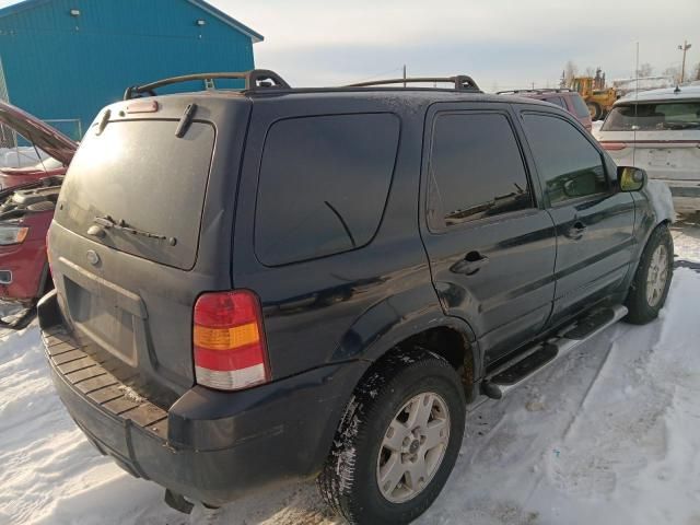 2005 Ford Escape XLT