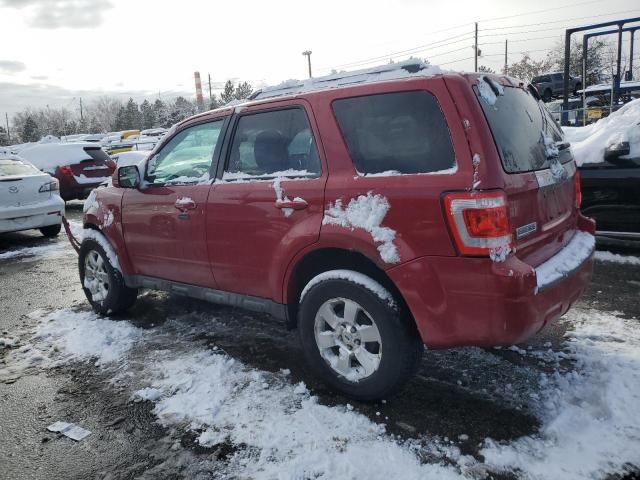 2011 Ford Escape Limited