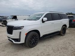 Salvage cars for sale at Houston, TX auction: 2024 Cadillac Escalade Sport