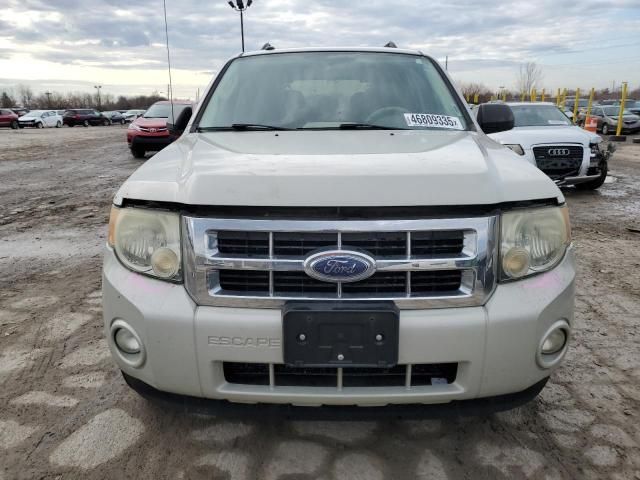 2009 Ford Escape XLT