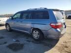 2005 Honda Odyssey EXL