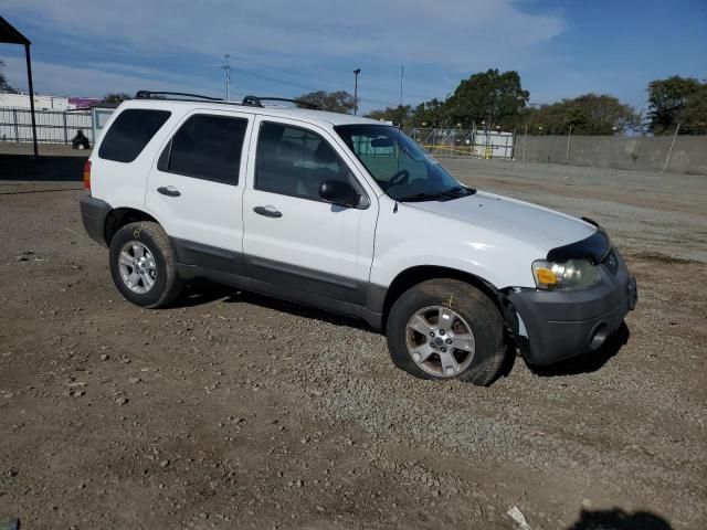 2006 Ford Escape XLT