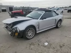 Salvage cars for sale at Harleyville, SC auction: 2004 Ford Mustang GT