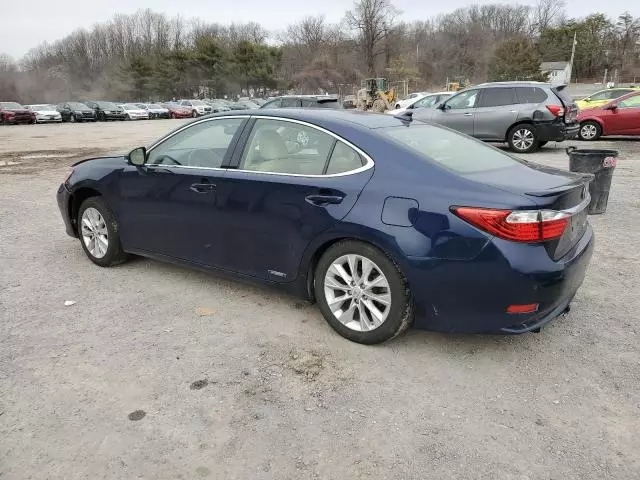 2014 Lexus ES 300H