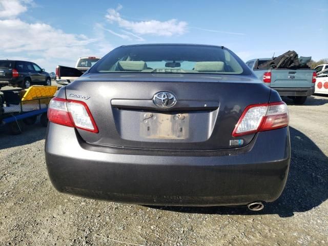 2009 Toyota Camry Hybrid