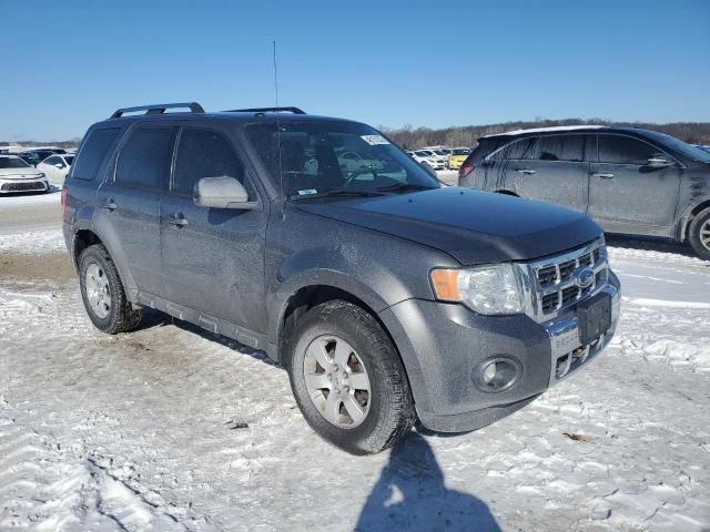 2009 Ford Escape Limited