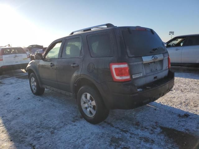 2011 Ford Escape Limited