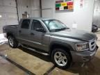 2011 Dodge Dakota SLT