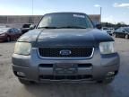 2004 Ford Escape XLT