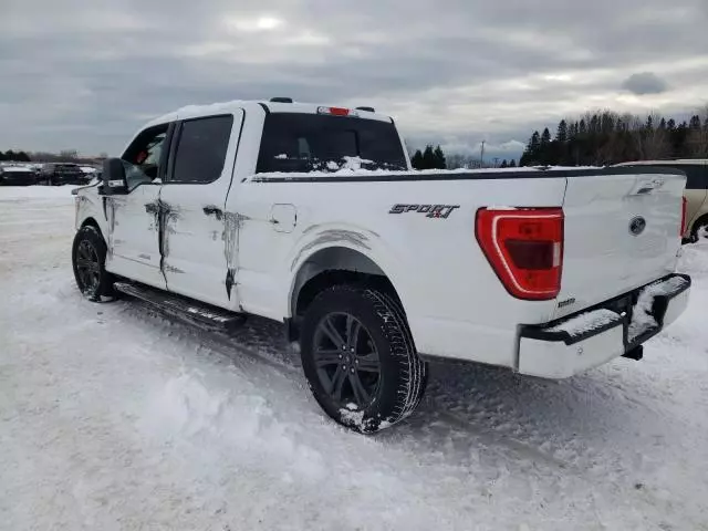 2023 Ford F150 Supercrew