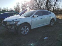 Salvage cars for sale at Baltimore, MD auction: 2010 Honda Accord Crosstour EXL