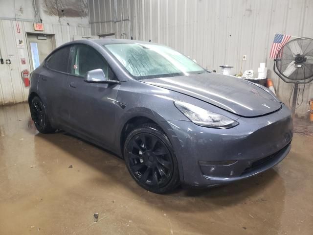 2020 Tesla Model Y