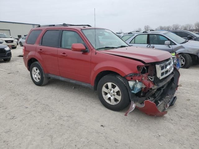 2011 Ford Escape Limited