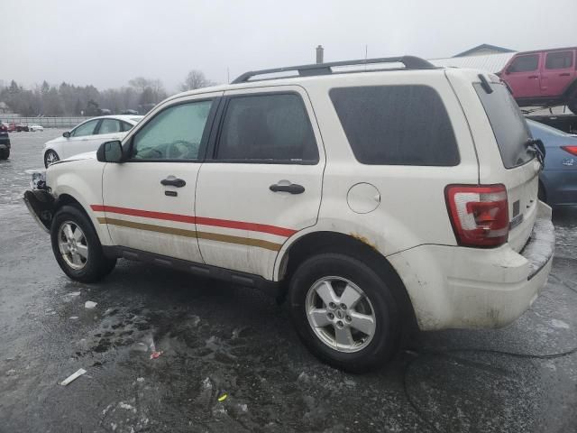 2010 Ford Escape XLT