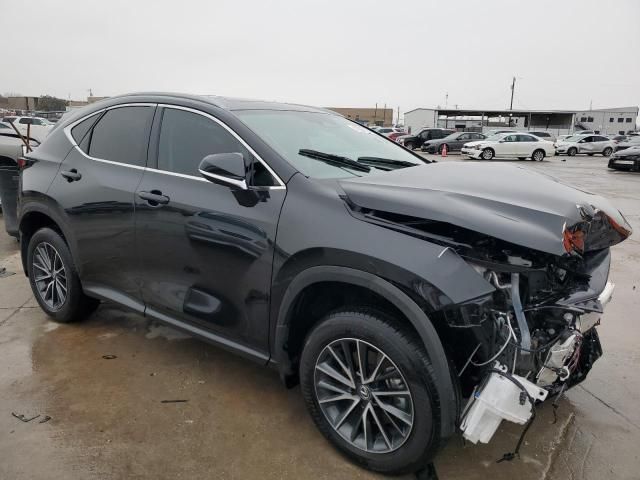 2025 Lexus NX 250 Base