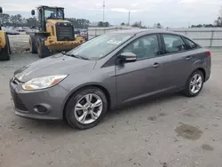 Ford Focus se salvage cars for sale: 2014 Ford Focus SE