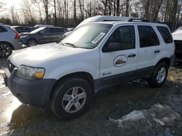 2007 Ford Escape HEV