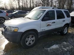 Salvage cars for sale at Waldorf, MD auction: 2007 Ford Escape HEV