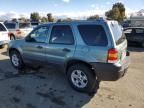 2007 Ford Escape XLT