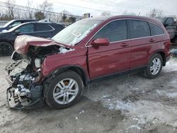 Salvage cars for sale at Walton, KY auction: 2011 Honda CR-V EXL