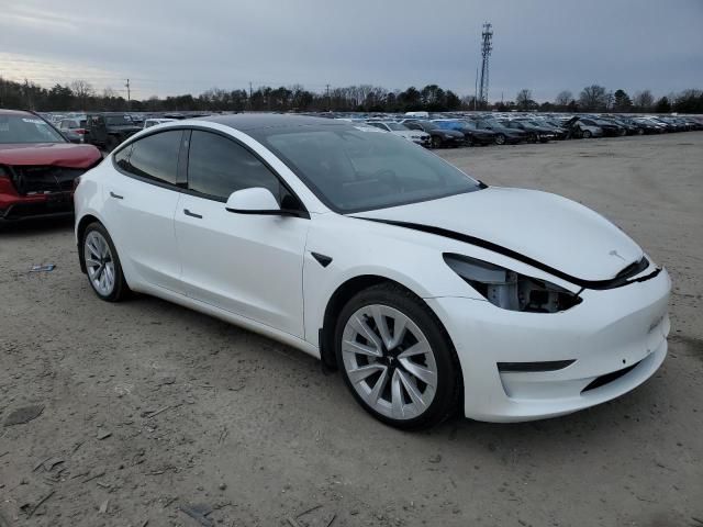 2021 Tesla Model 3