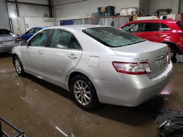 2010 Toyota Camry Hybrid