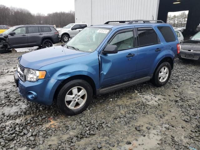 2009 Ford Escape XLT