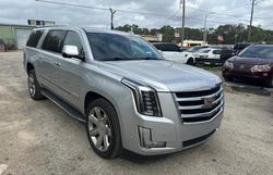 Salvage cars for sale from Copart Jacksonville, FL: 2020 Cadillac Escalade ESV Luxury