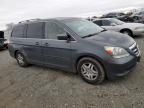 2005 Honda Odyssey EX