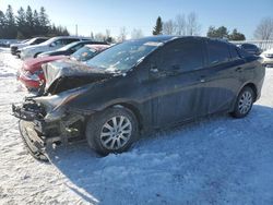 Salvage cars for sale at Bowmanville, ON auction: 2016 Toyota Prius