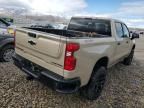 2023 Chevrolet Silverado K1500 Trail Boss Custom